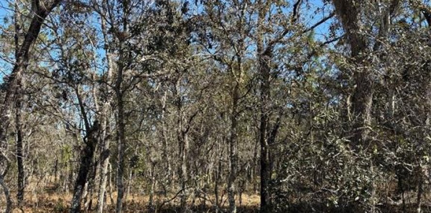 Land in Dunnellon, Florida № 2158990