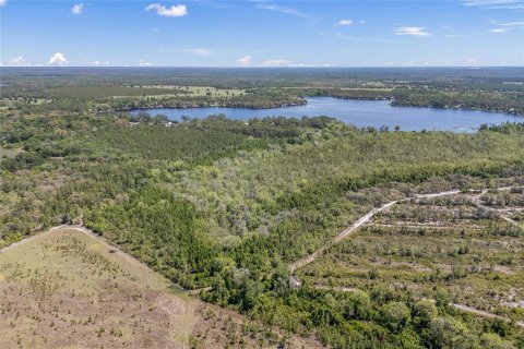 Land in Hawthorne, Florida № 1659721 - photo 2