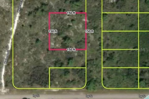Land in Lake Placid, Florida № 2160685 - photo 2