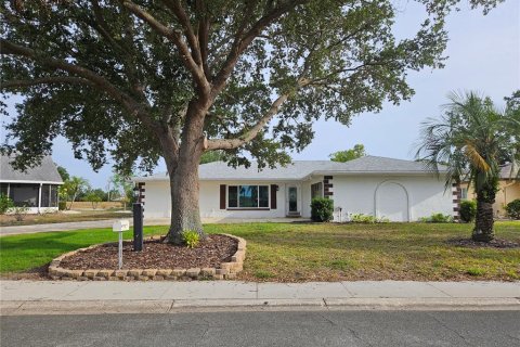 House in Sun City Center, Florida 2 bedrooms, 180.79 sq.m. № 2227596
