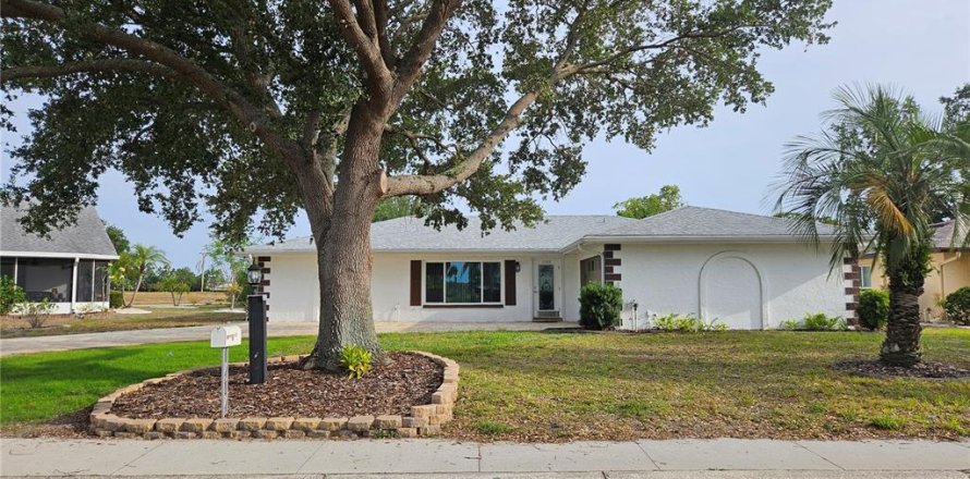 House in Sun City Center, Florida 2 bedrooms, 180.79 sq.m. № 2227596