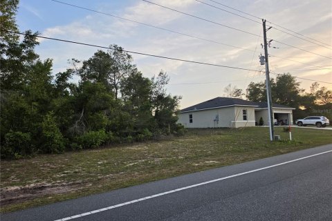 Land in Ocala, Florida № 2162309 - photo 4