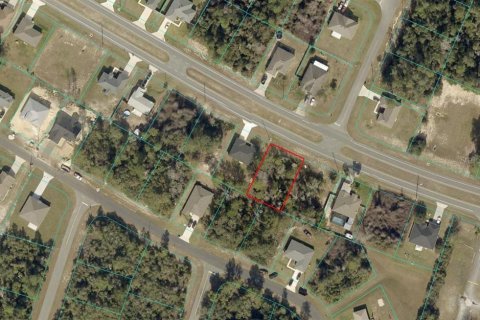 Land in Ocala, Florida № 2162309 - photo 2