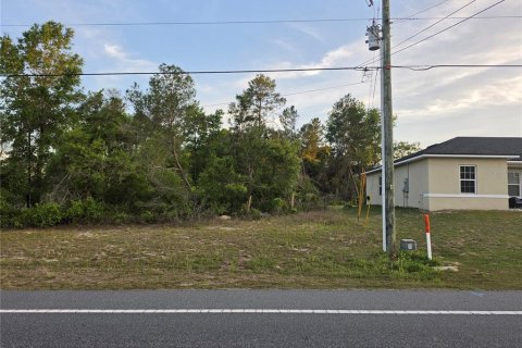 Land in Ocala, Florida № 2162309