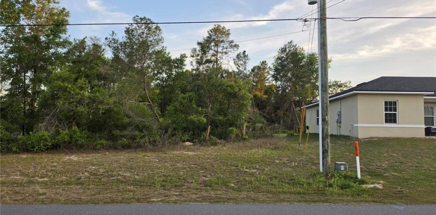 Land in Ocala, Florida № 2162309