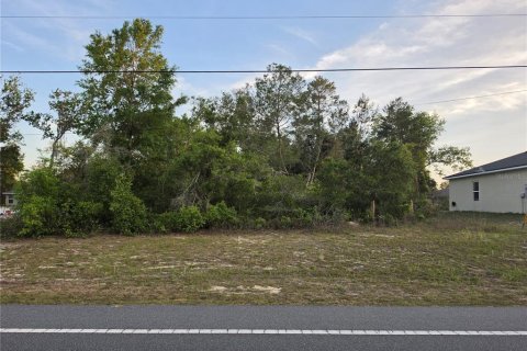 Land in Ocala, Florida № 2162309 - photo 3