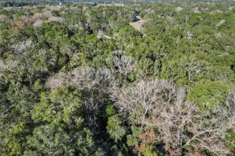 Land in Fanning Springs, Florida № 928824 - photo 8