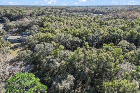 Land in Fanning Springs, Florida № 928824 - photo 10