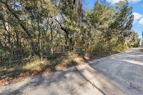 Land in Fanning Springs, Florida № 928824 - photo 12