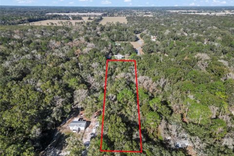 Land in Fanning Springs, Florida № 928824 - photo 1