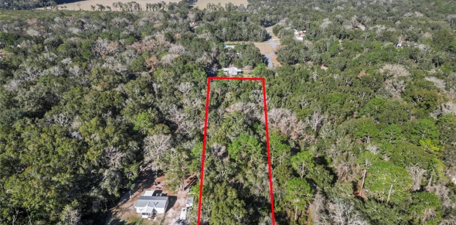 Land in Fanning Springs, Florida № 928824