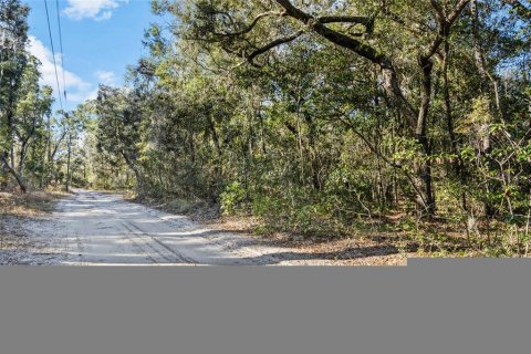 Land in Fanning Springs, Florida № 928824 - photo 13