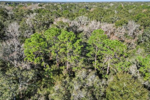 Land in Fanning Springs, Florida № 928824 - photo 7