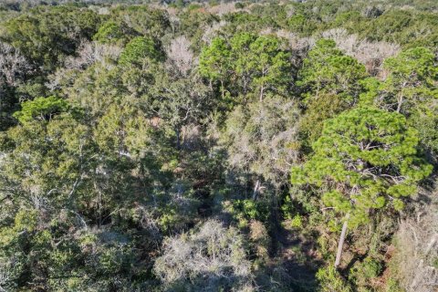 Land in Fanning Springs, Florida № 928824 - photo 6