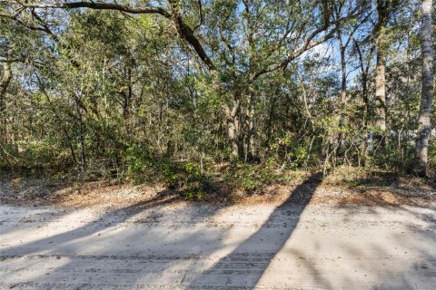 Land in Fanning Springs, Florida № 928824 - photo 11