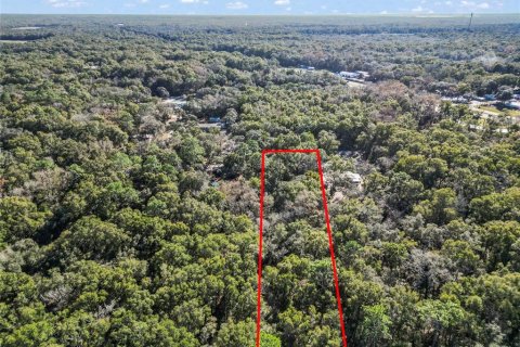 Land in Fanning Springs, Florida № 928824 - photo 2
