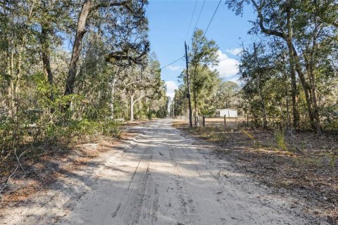 Land in Fanning Springs, Florida № 928824 - photo 15
