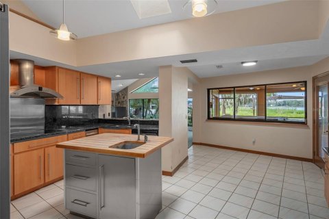 House in Lutz, Florida 4 bedrooms, 457.82 sq.m. № 1902761 - photo 20