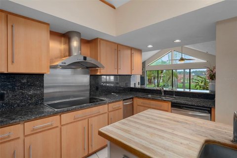 House in Lutz, Florida 4 bedrooms, 457.82 sq.m. № 1902761 - photo 4