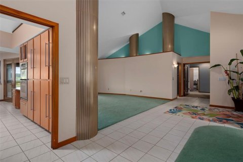 House in Lutz, Florida 4 bedrooms, 457.82 sq.m. № 1902761 - photo 19