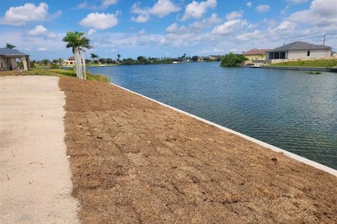 Land in Cape Coral, Florida № 1906865 - photo 2