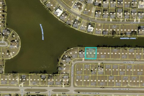 Land in Cape Coral, Florida № 1906865 - photo 3