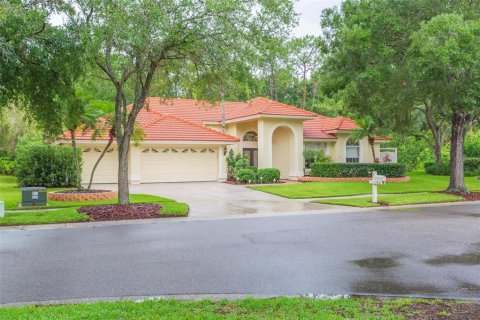House in Tampa, Florida 4 bedrooms, 290.04 sq.m. № 1829324 - photo 1