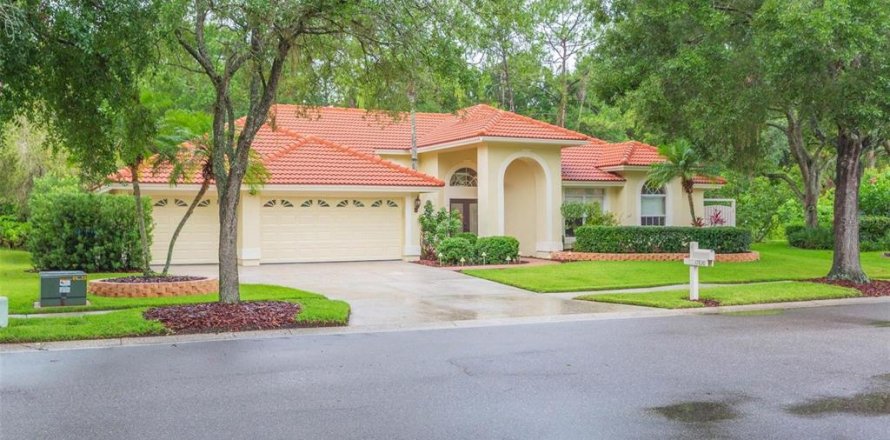 House in Tampa, Florida 4 bedrooms, 290.04 sq.m. № 1829324