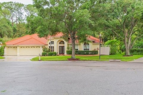 House in Tampa, Florida 4 bedrooms, 290.04 sq.m. № 1829324 - photo 2