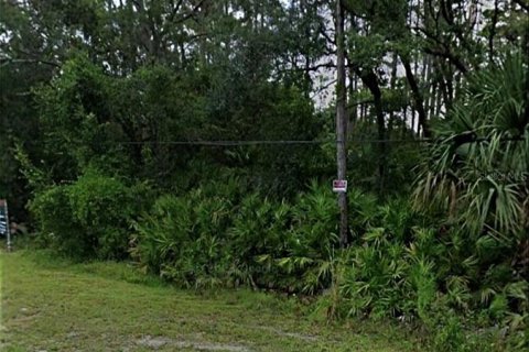 Terreno en venta en Chuluota, Florida № 1909895 - foto 1