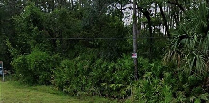 Terreno en Chuluota, Florida № 1909895