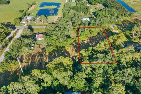 Terreno en venta en Lakeland, Florida № 1533729 - foto 2