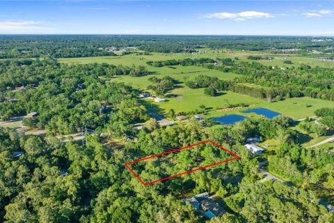 Terreno en venta en Lakeland, Florida № 1533729 - foto 4