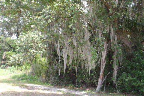 Villa ou maison à louer à Wesley Chapel, Floride: 4 chambres, 181.72 m2 № 2148869 - photo 24