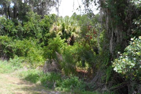 Villa ou maison à louer à Wesley Chapel, Floride: 4 chambres, 181.72 m2 № 2148869 - photo 26