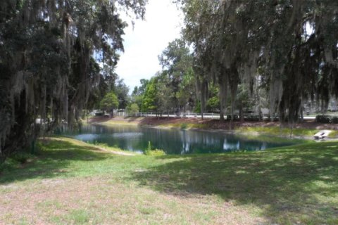 Villa ou maison à louer à Wesley Chapel, Floride: 4 chambres, 181.72 m2 № 2148869 - photo 25