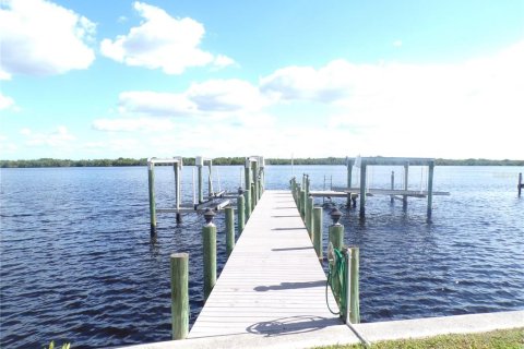 Villa ou maison à louer à Punta Gorda, Floride: 3 chambres, 162.58 m2 № 2431137 - photo 4