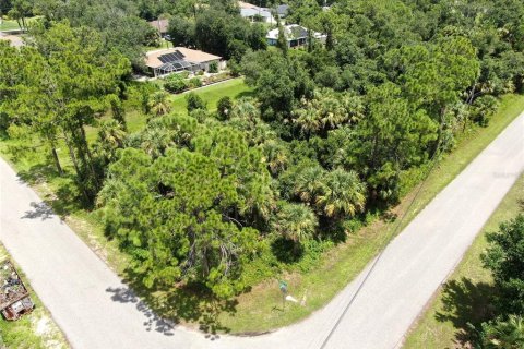 Land in North Port, Florida № 2162670 - photo 4