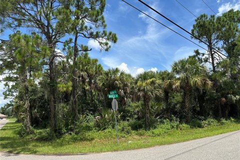 Land in North Port, Florida № 2162670 - photo 8
