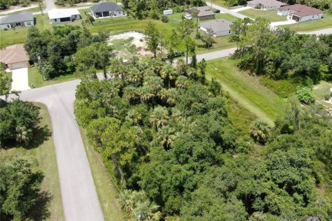 Land in North Port, Florida № 2162670 - photo 6