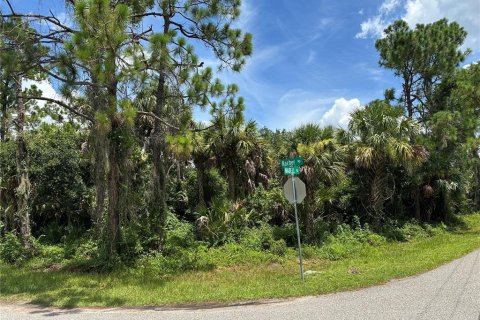 Land in North Port, Florida № 2162670 - photo 2