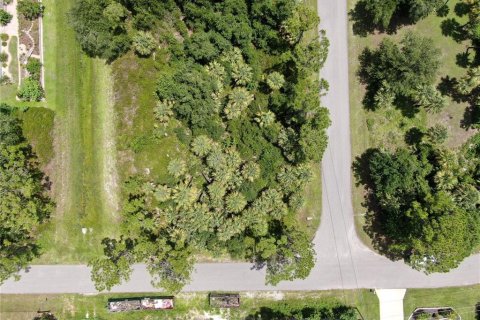 Land in North Port, Florida № 2162670 - photo 5