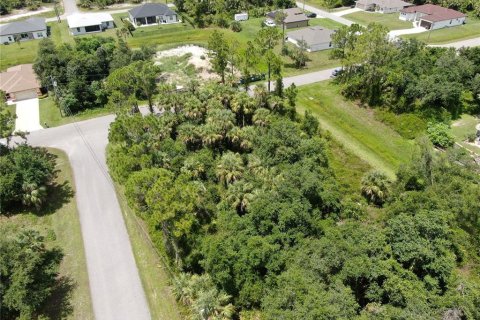 Land in North Port, Florida № 2162670 - photo 7