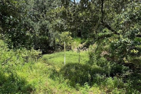 Land in Wimauma, Florida № 1821511 - photo 13