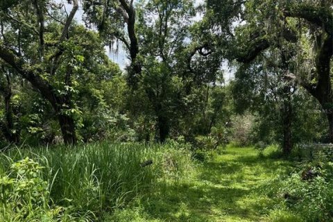 Land in Wimauma, Florida № 1821511 - photo 20