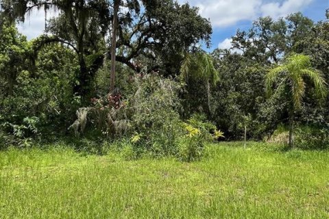 Land in Wimauma, Florida № 1821511 - photo 3