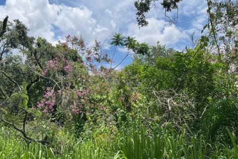Land in Wimauma, Florida № 1821511 - photo 19