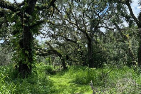 Land in Wimauma, Florida № 1821511 - photo 17