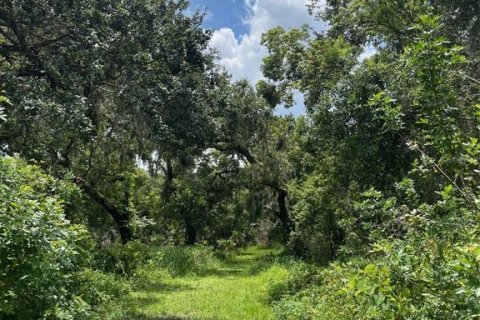 Land in Wimauma, Florida № 1821511 - photo 15