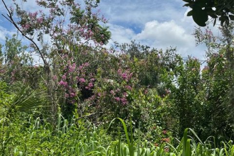 Land in Wimauma, Florida № 1821511 - photo 10